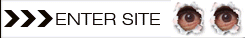 enter website