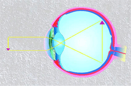 pic2.gif